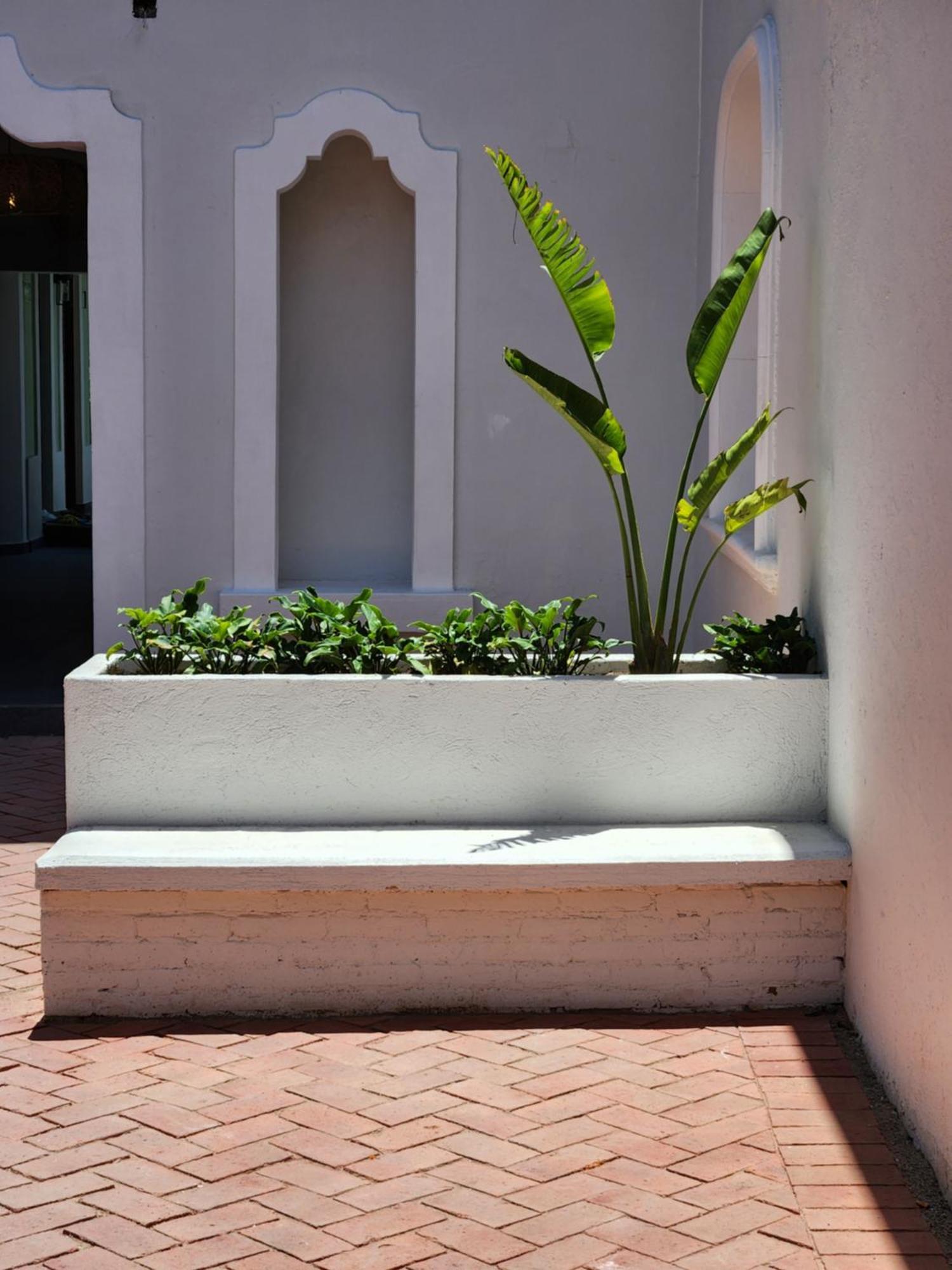 Hotel Boutique Villa Escondida, A Pasos De Lo Mejor En トラケパケ エクステリア 写真