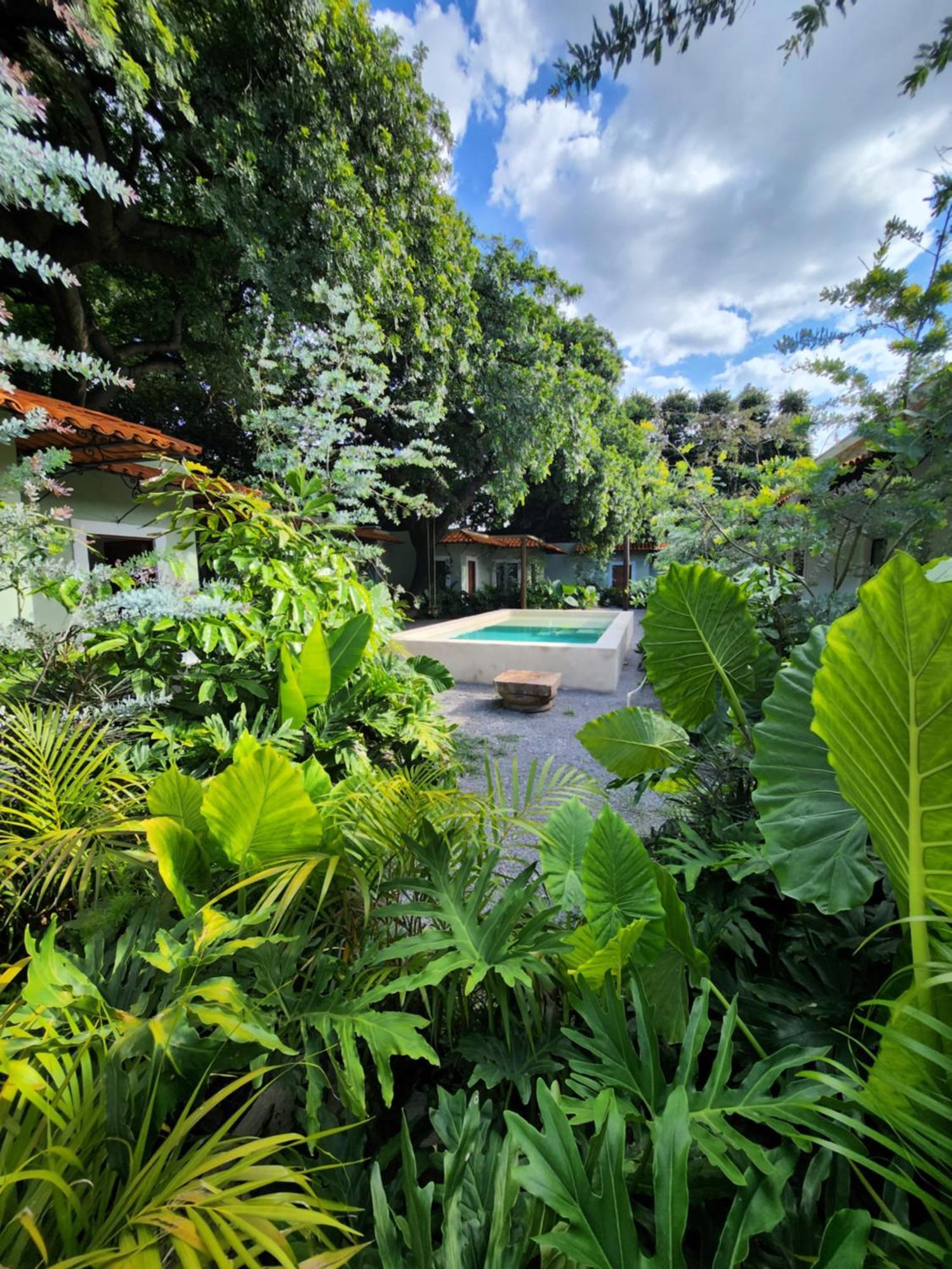 Hotel Boutique Villa Escondida, A Pasos De Lo Mejor En トラケパケ エクステリア 写真